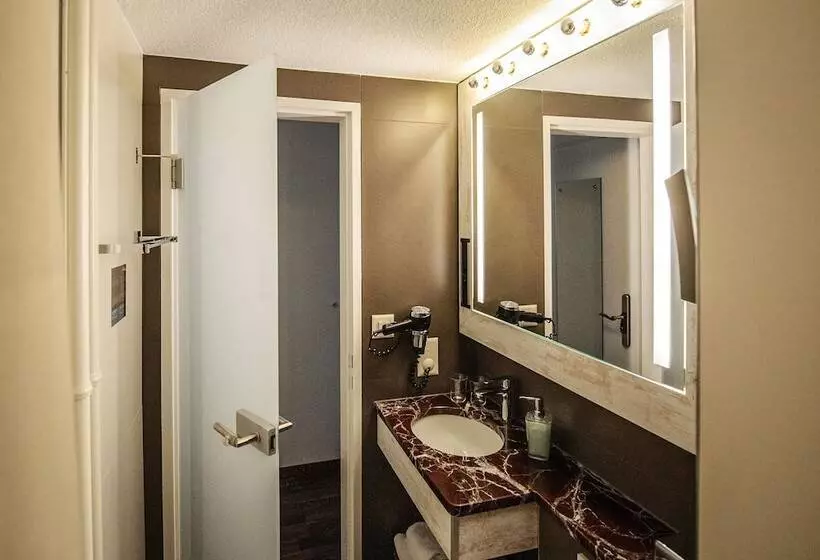 پانسیون Alexander Guesthouse Zurich Old Town