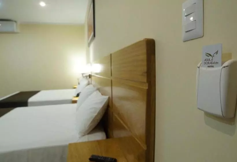 ホテル águila Dorada Selva