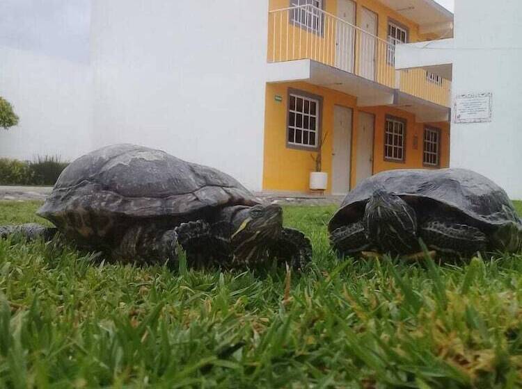 בית מלון כפרי Posada Del ángel