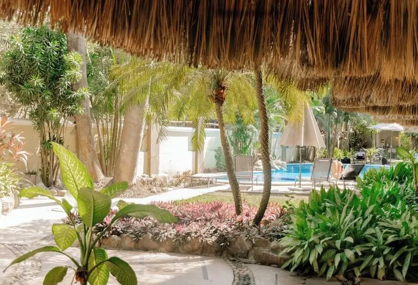 Casa Real Sayulita Hotel Boutique