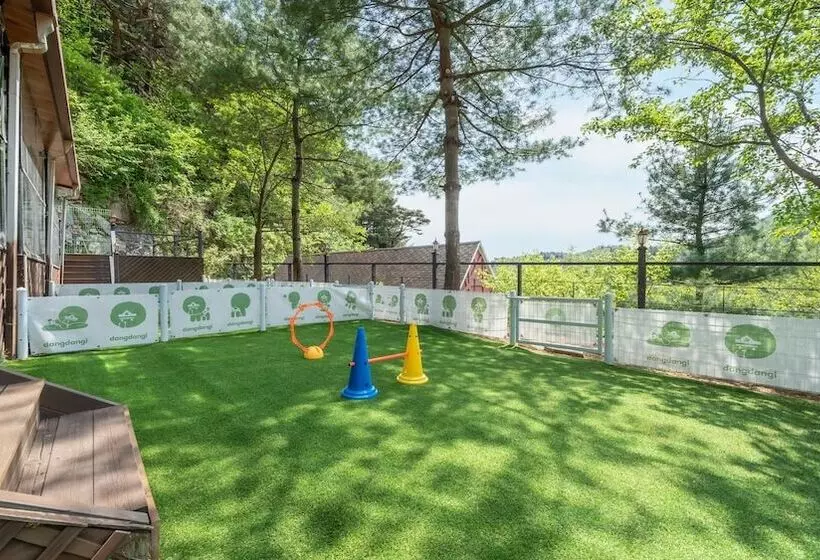 Gapyeong Daengdaengi Dog Pension Silver