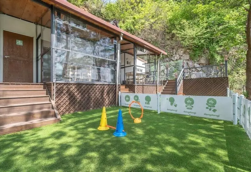 Gapyeong Daengdaengi Dog Pension Silver