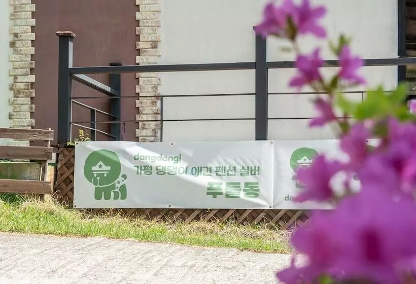 Gapyeong Daengdaengi Dog Pension Silver