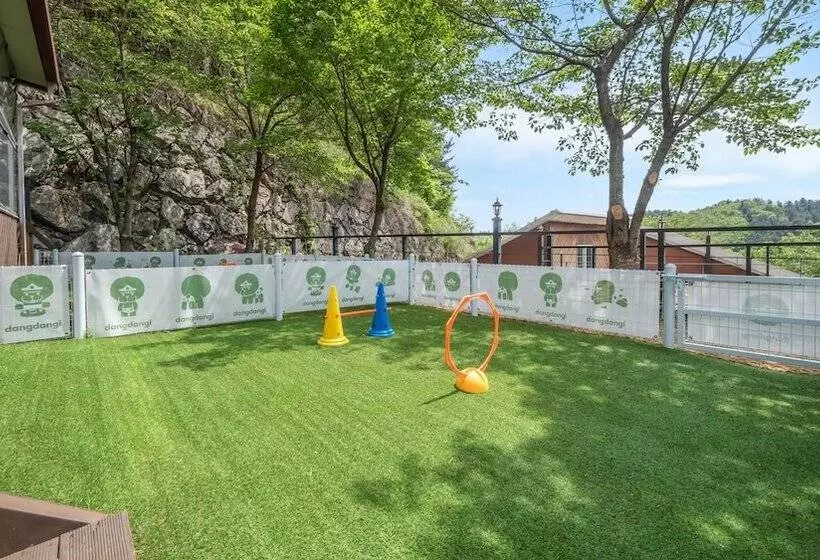 Gapyeong Daengdaengi Dog Pension Silver