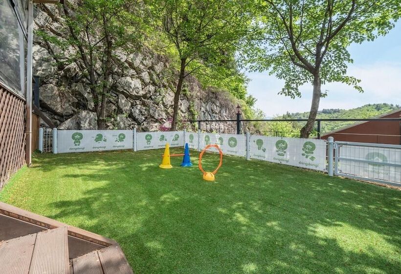 Gapyeong Daengdaengi Dog Pension Silver