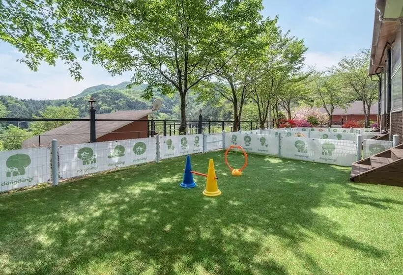 Gapyeong Daengdaengi Dog Pension Silver