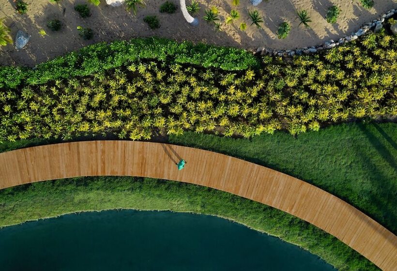 ホテル The Excellence Club At Finest Punta Cana   All Inclusive