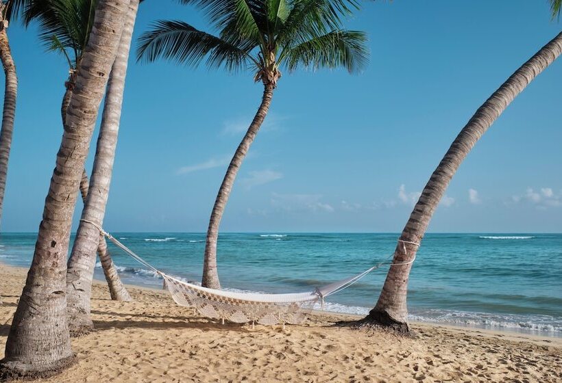 ホテル The Excellence Club At Finest Punta Cana   All Inclusive