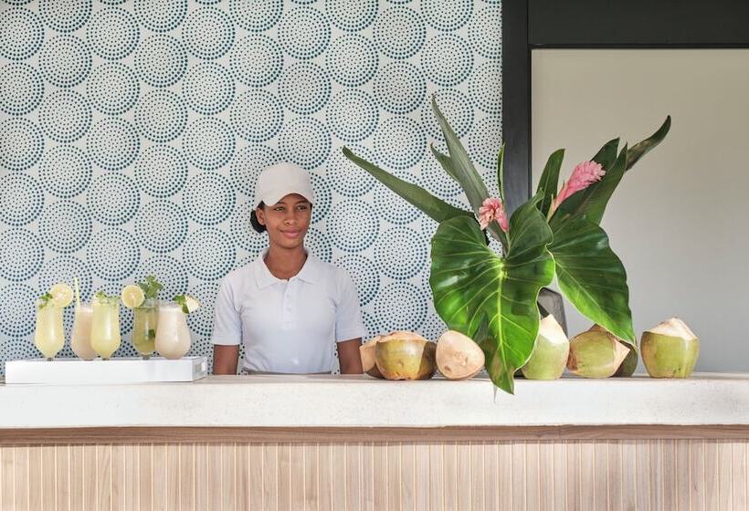 ホテル The Excellence Club At Finest Punta Cana   All Inclusive