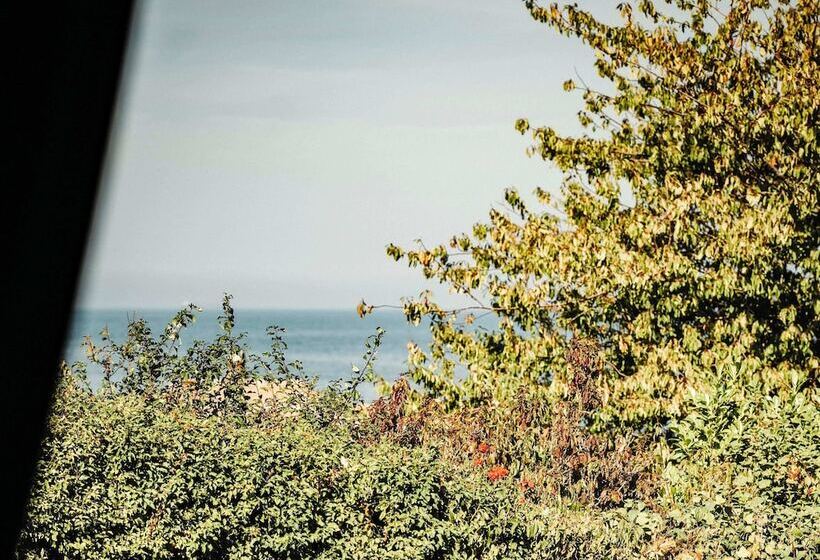 ホテル The Falcon