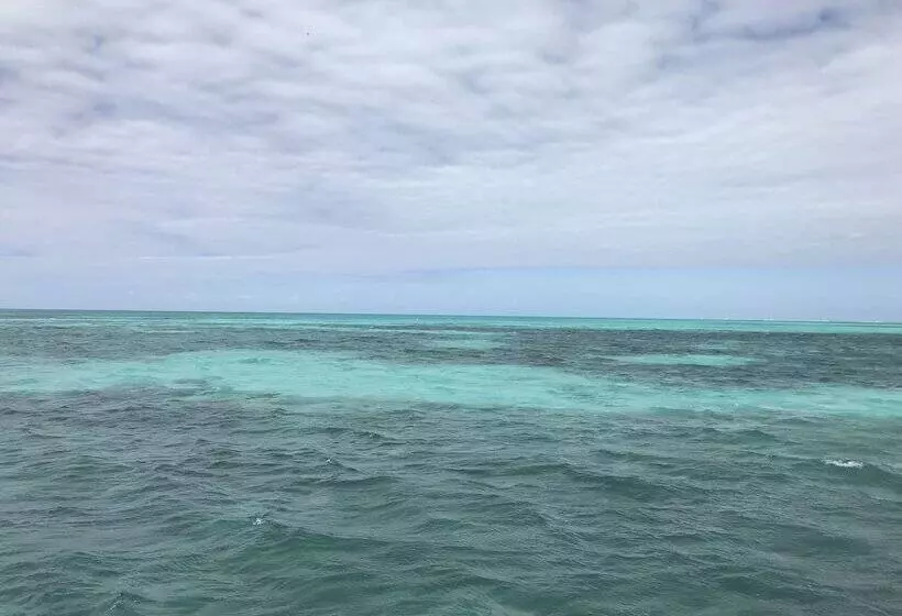 Hotelli Dreamcabanas