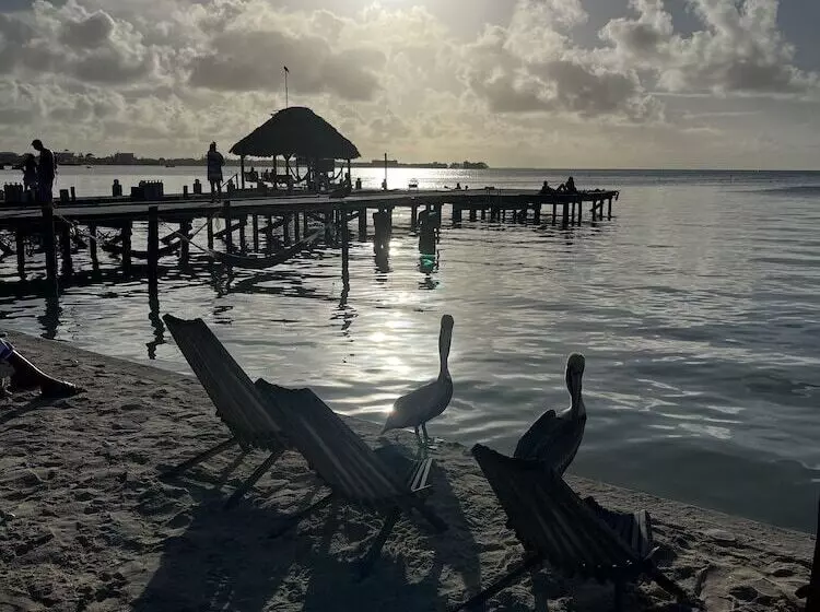 Hotelli Dreamcabanas