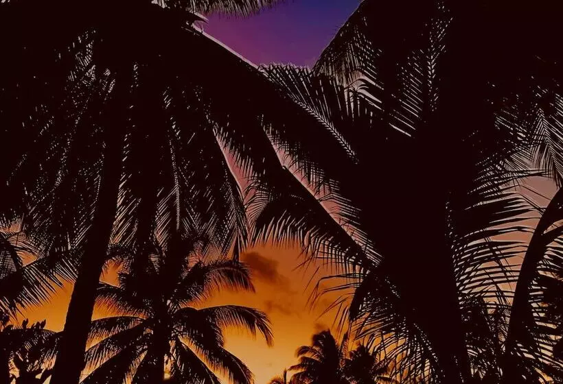 Hotelli Dreamcabanas