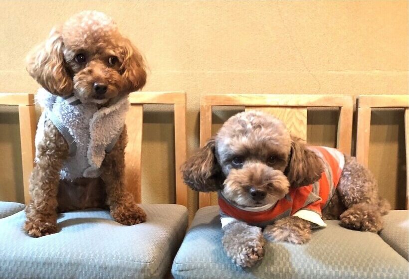 旅館 Matsushima Koumura