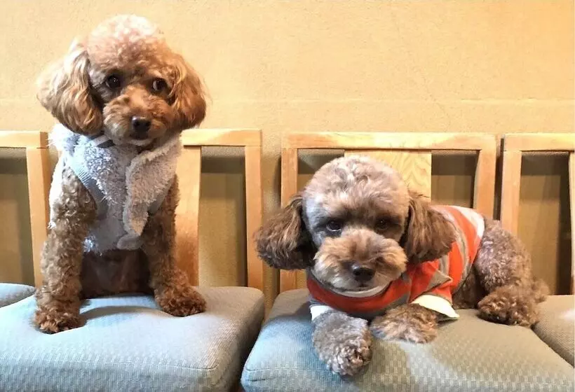 旅館 Matsushima Koumura