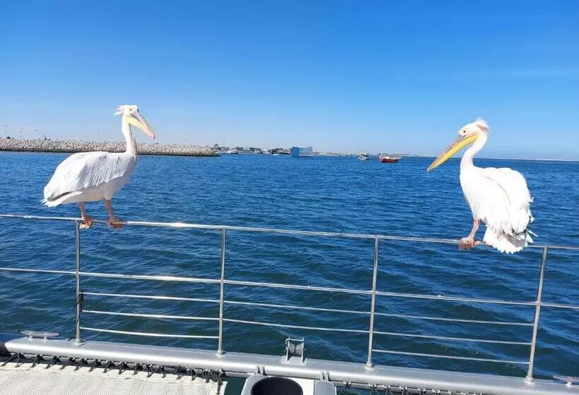 تختخواب و صبحانه Sunflower Self Catering