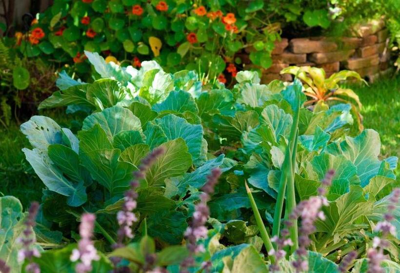 בית מלון כפרי Pousada Rosa Tropicalia