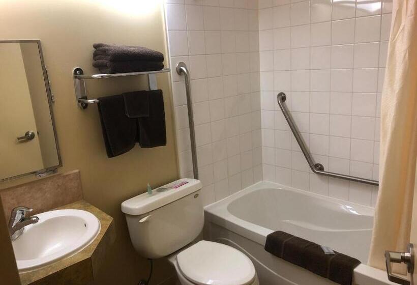 ホテル Travel Inn & Suites