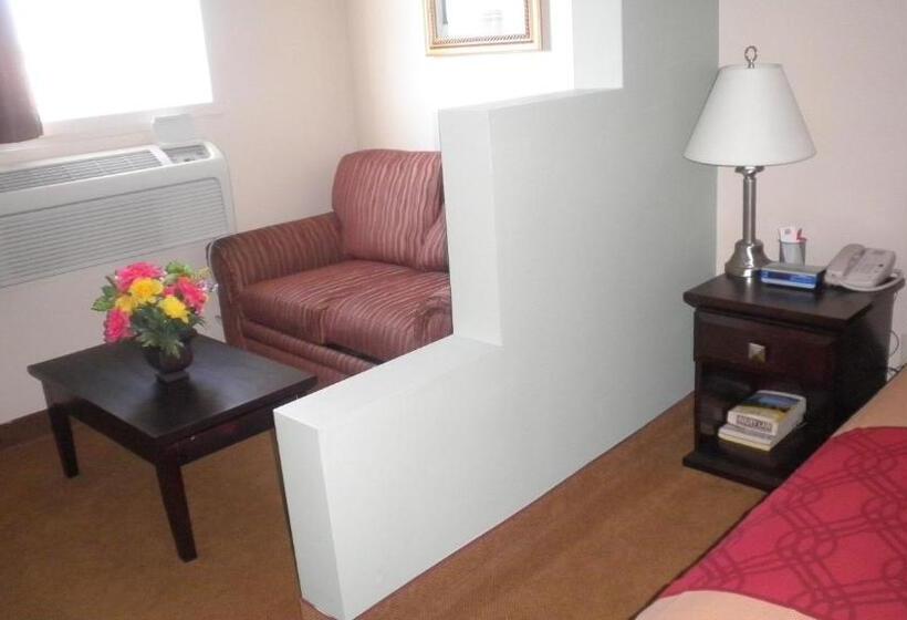 ホテル Travel Inn & Suites