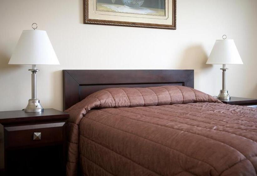 ホテル Travel Inn & Suites