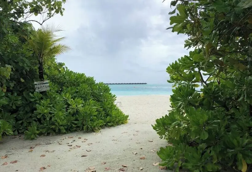 هتل Dhiffushi Tourist
