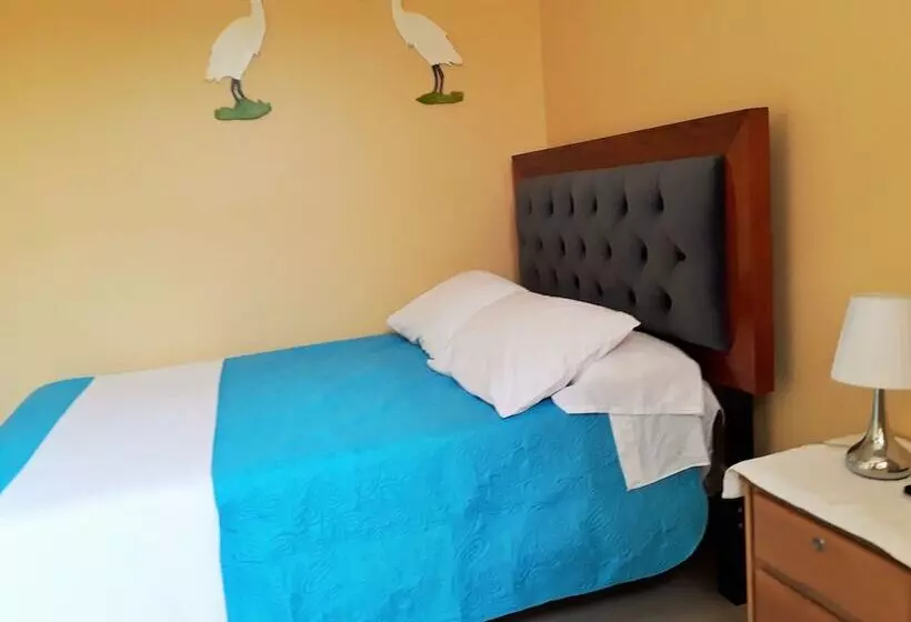 ユースホステル Hostal Mendieta