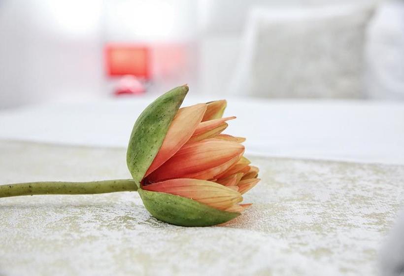 تختخواب و صبحانه Sunny Hill Garden