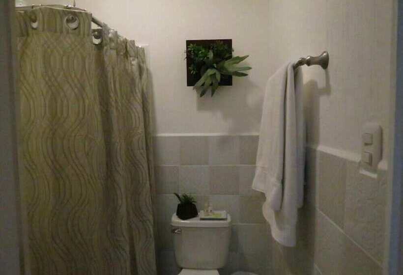 هتل Acanthus Boutique