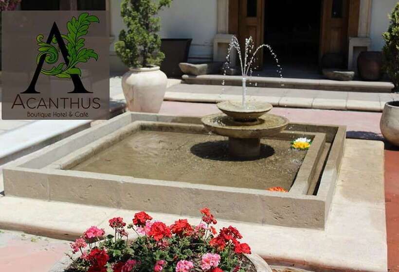 هتل Acanthus Boutique