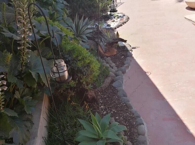 هتل Acanthus Boutique