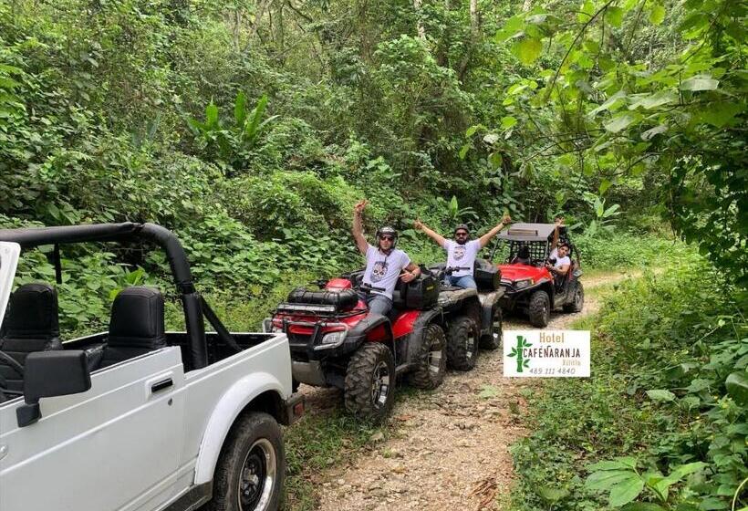 هتل Cafénaranja Xilitla