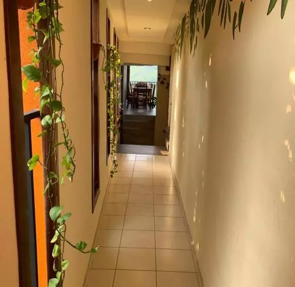 Hotelli Cafénaranja Xilitla