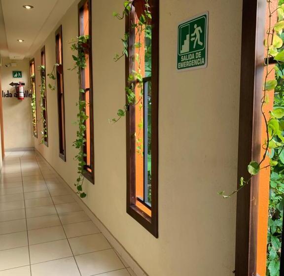 هتل Cafénaranja Xilitla