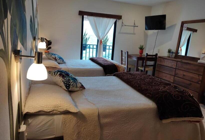 هتل Cafénaranja Xilitla