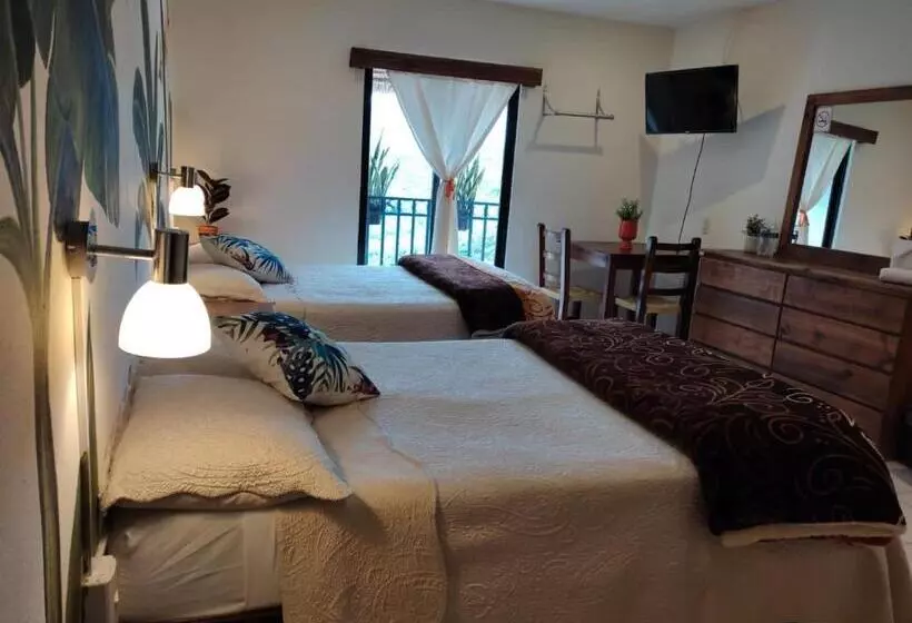 Hotelli Cafénaranja Xilitla