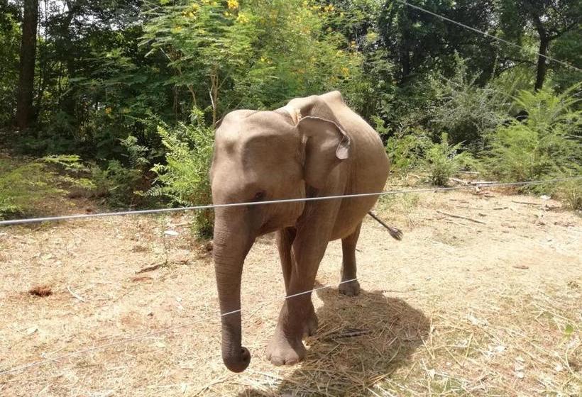 Hotell Royala Inside