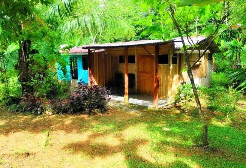 ホテル The Sunset Tucano Lodge