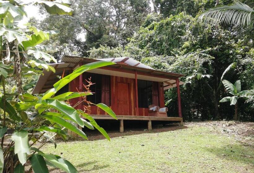 ホテル The Sunset Tucano Lodge