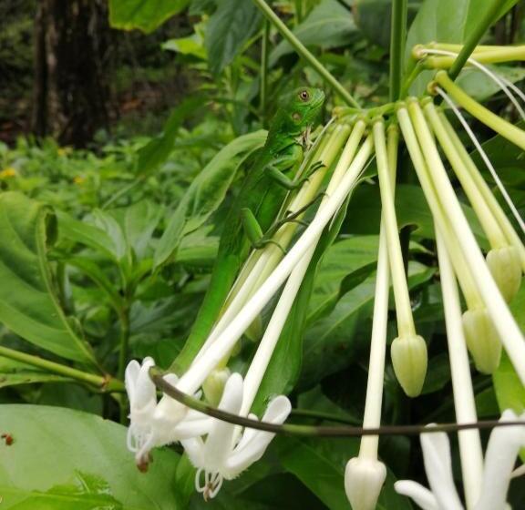 ホテル The Sunset Tucano Lodge