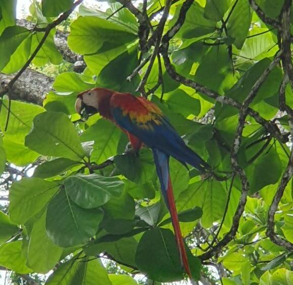 ホテル The Sunset Tucano Lodge