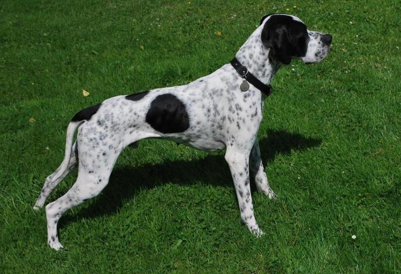 ベッドアンドブレックファースト La Monardière