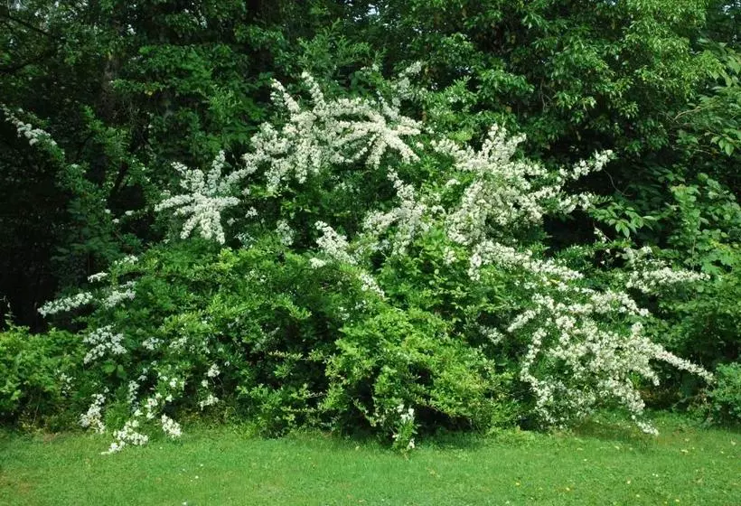 تختخواب و صبحانه La Monardière
