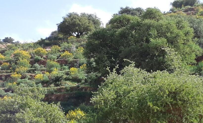 تختخواب و صبحانه Les Trois Paons