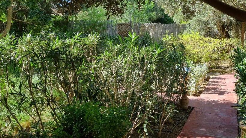 تختخواب و صبحانه Les Trois Paons