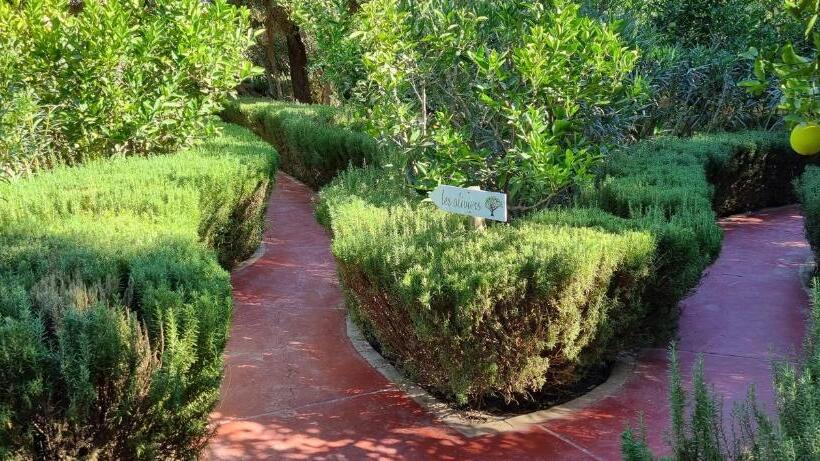 تختخواب و صبحانه Les Trois Paons