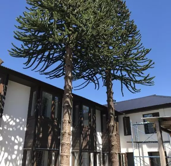 Hotelli Aysen Austral