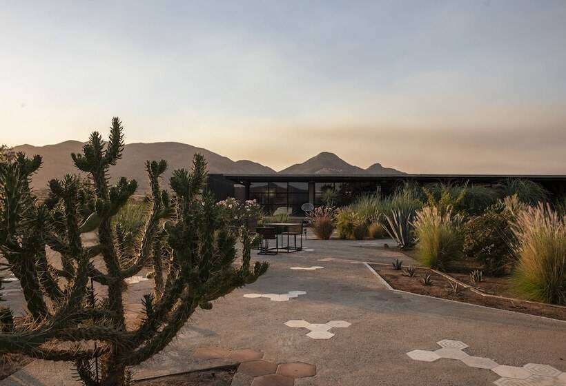فندق Los Amantes Valle De Guadalupe