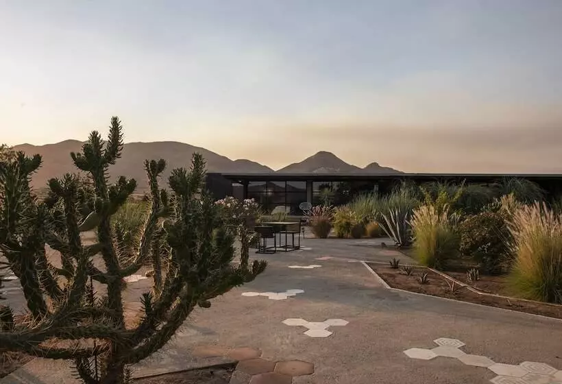 Hotelli Los Amantes Valle De Guadalupe