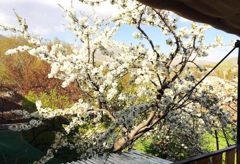 Under The Walnut Tree B&b