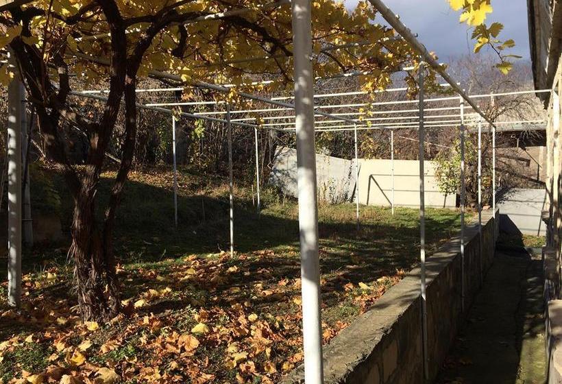 Under The Walnut Tree B&b